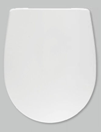 WC Sitz passend Villeroy & Boch Amica Soft-Close wählbar Farbe+Nano Beschichtung