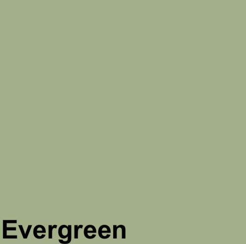WC Sitz Euronorm Standard-Form Farbe EVERGREEN Absenkautomatik wählbar abnehmbar