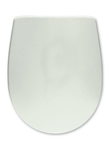 WC Sitz passend Ideal Standard Inga Soft-Close Premium abnehmbar Farbe ÄGÄIS
